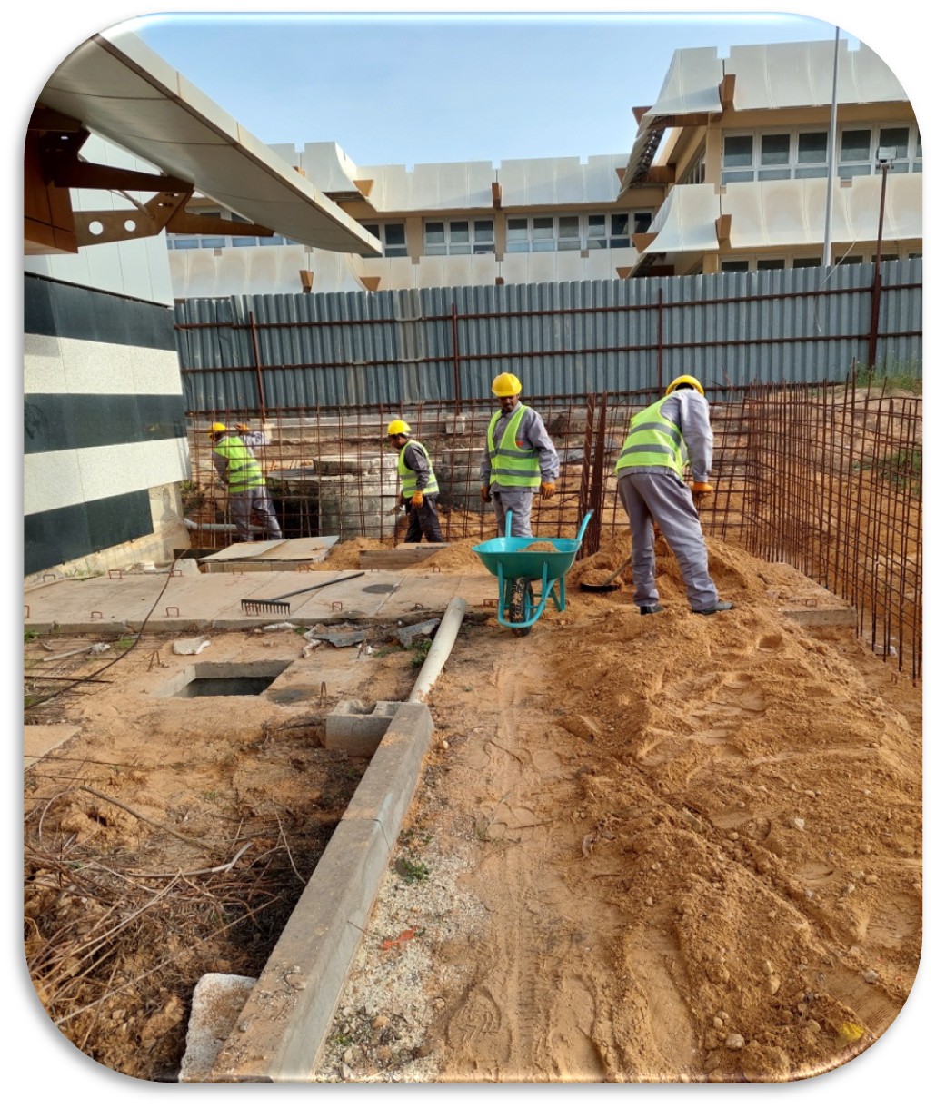 Project image