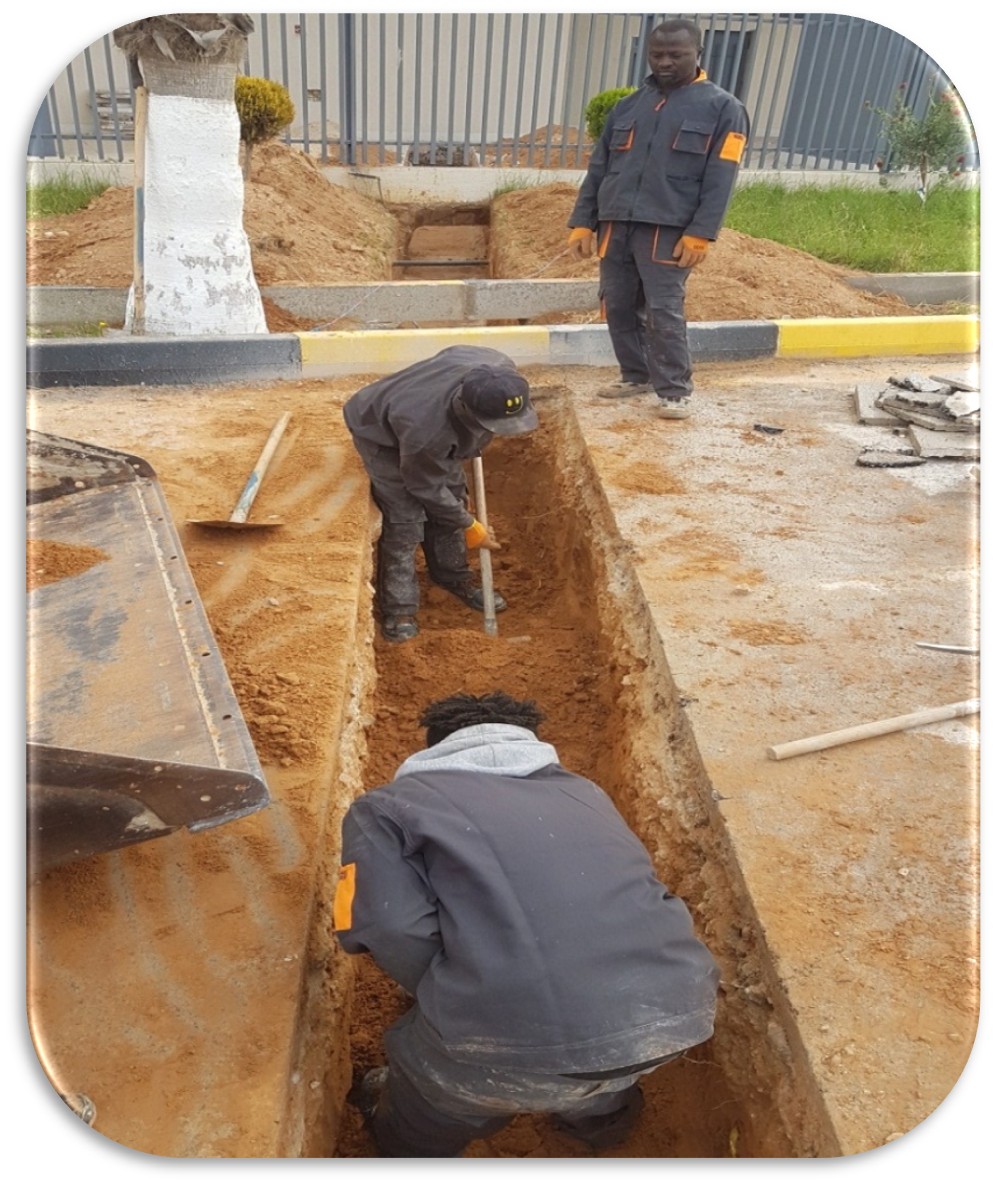 Project image